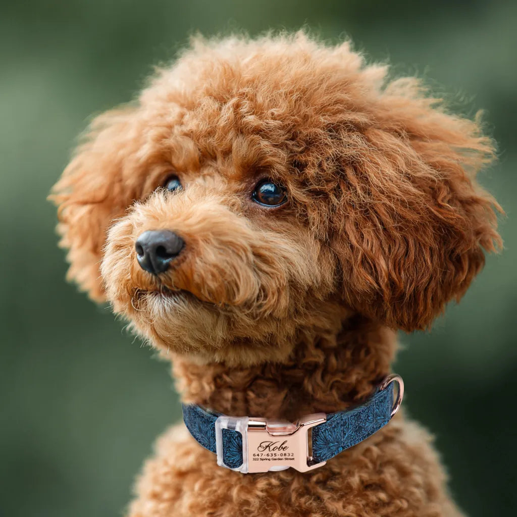 Dog wears 100% Cotton Personalized Dog Collar  Marigold rosegold