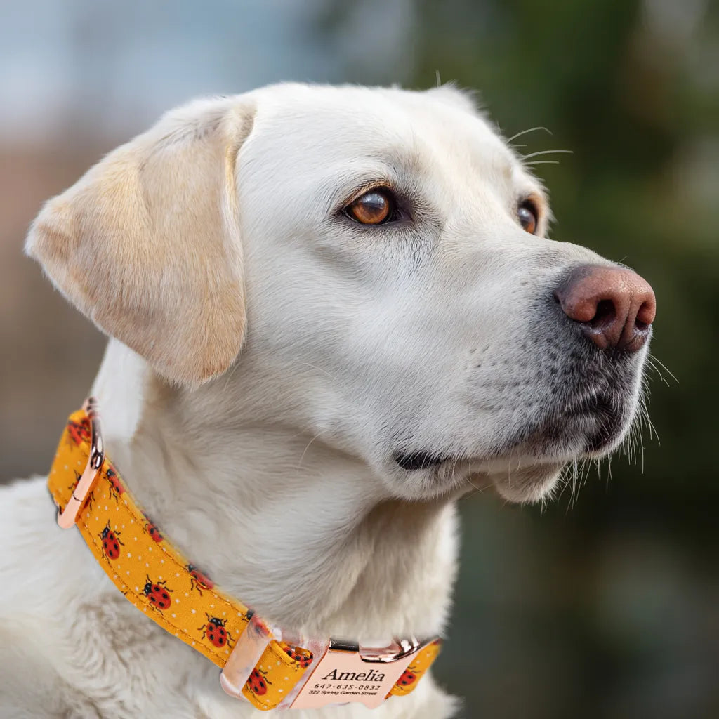 Dog wears 100% Cotton Personalized Dog Collar Engraved Rose Gold Ladybug