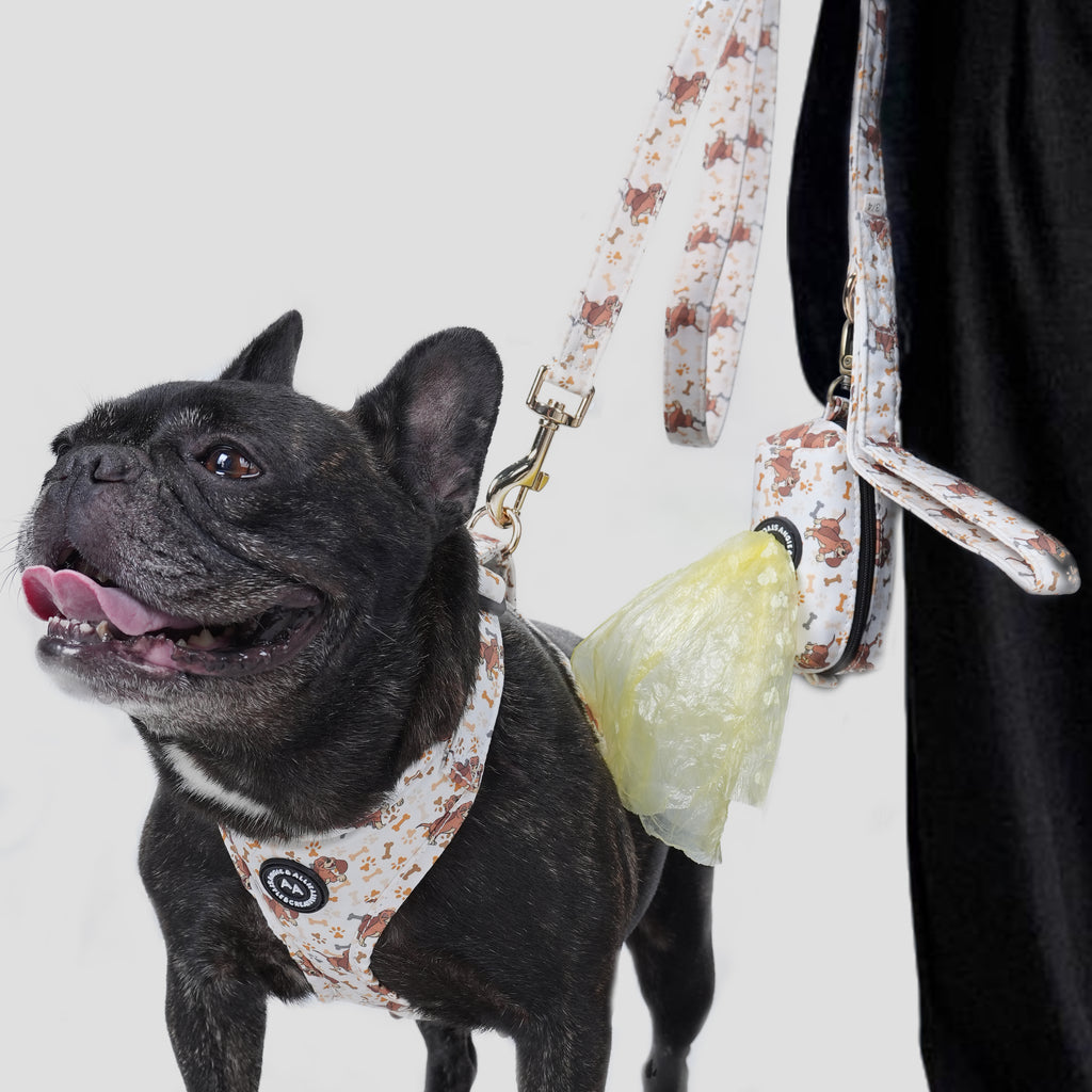 Black dog wearing a Disney Fox and the Hound patterned harness with a person holding a leash and a poop bag on a light gray background