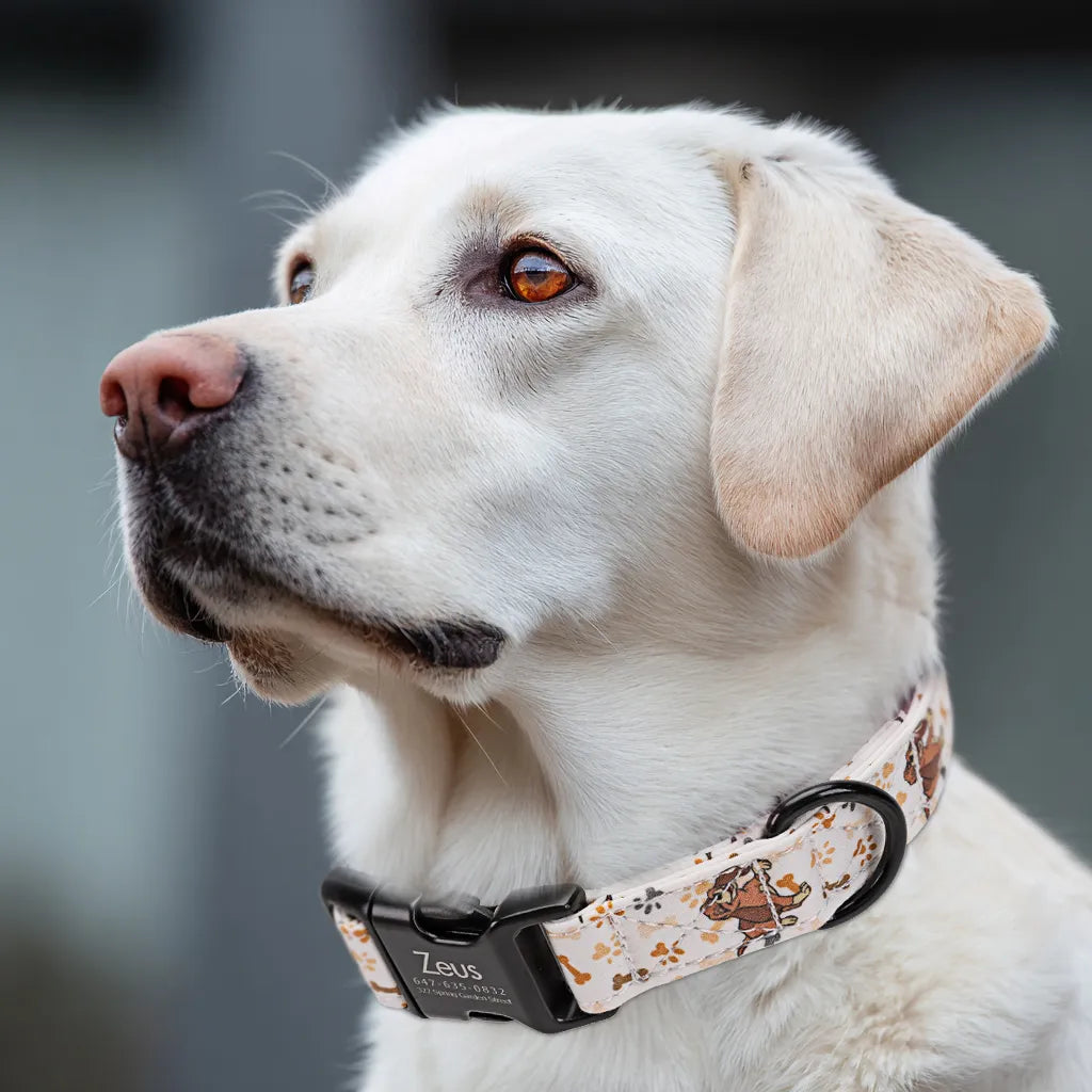 Dog wears 100% Cotton Personalized Dog Collar Engraved Black Stars and Stripes 