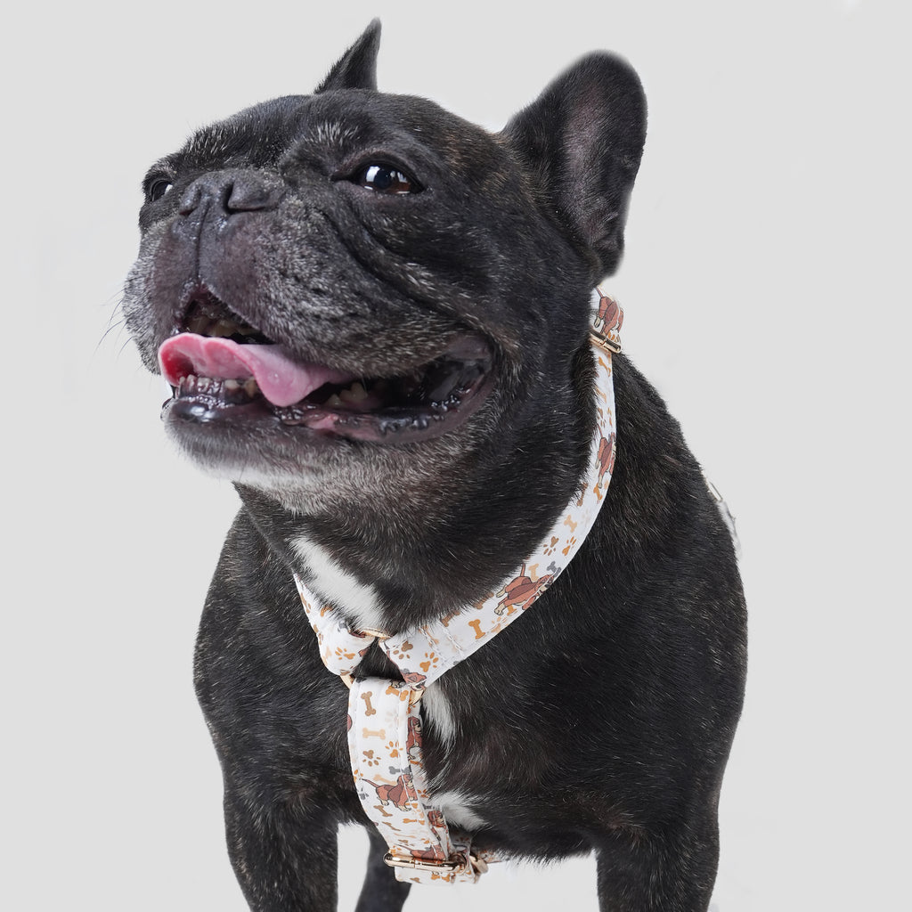 100% Cotton Adjustable No Pull Dog Harness Disney Fox and the Hound dog wears the harness front