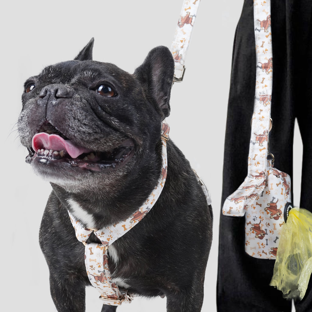 Black dog wearing a Disney Fox and the Hound patterned harness with a person holding a leash and a poop bag on a light gray background