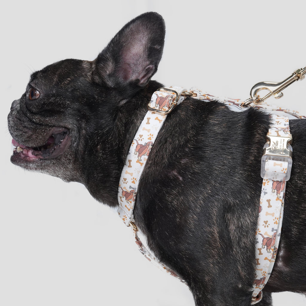 100% Cotton Adjustable No Pull Dog Harness Disney Fox and the Hound dog wears the harness side