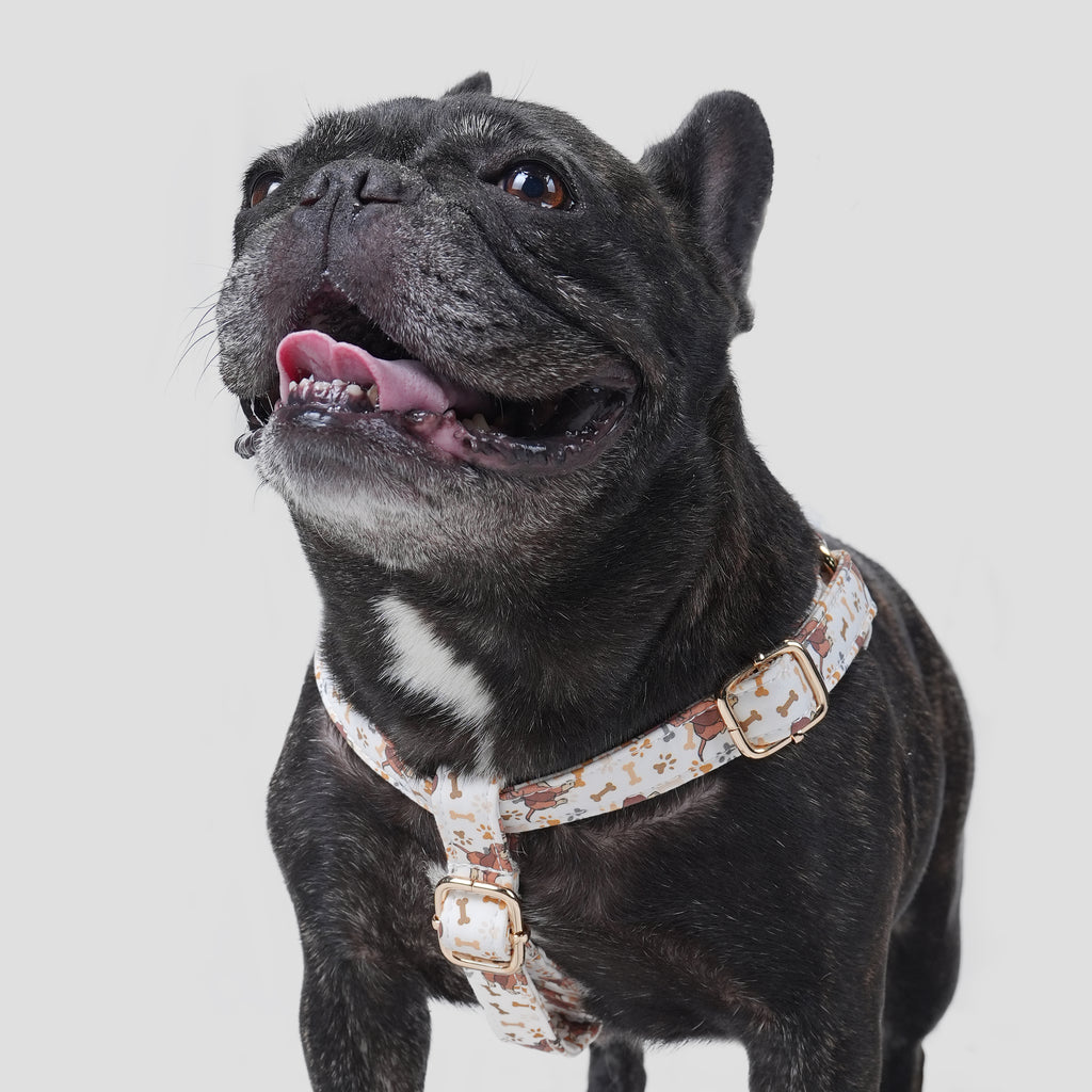 100% Cotton Adjustable Step-In Dog Harness Gold Disney Fox and the Hound dog wears the harness front