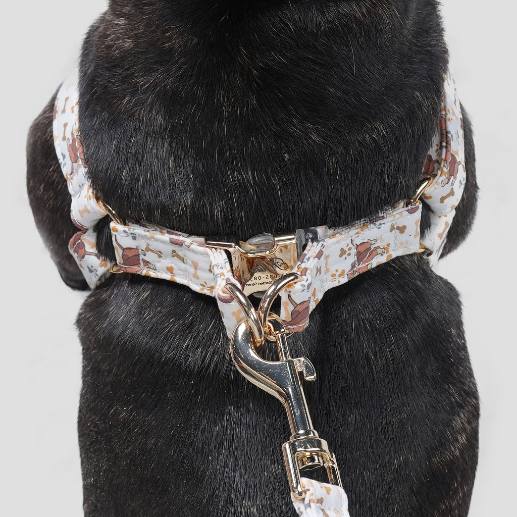 100% Cotton Adjustable Step-In Dog Harness Gold Disney Fox and the Hound dog wears the harness back