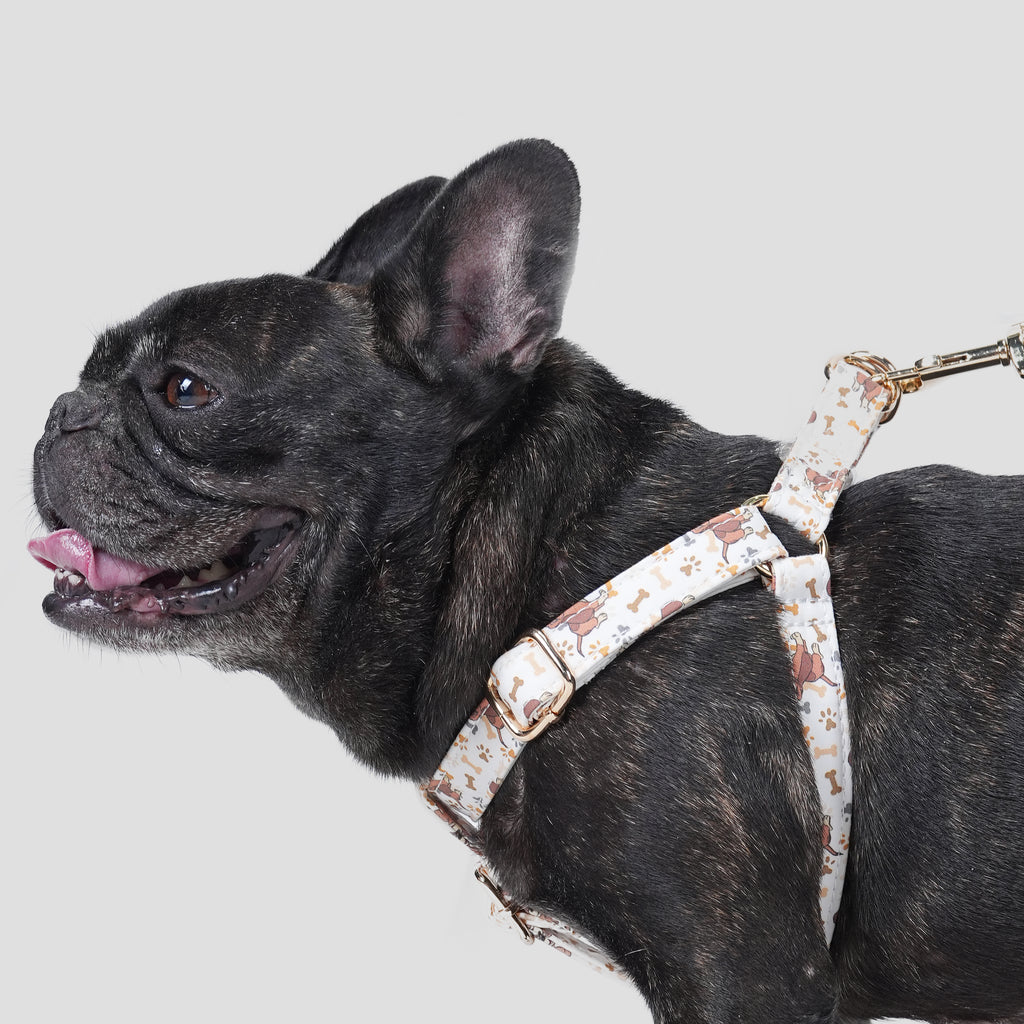 100% Cotton Adjustable Step-In Dog Harness Gold Disney Fox and the Hound dog wears the harness side