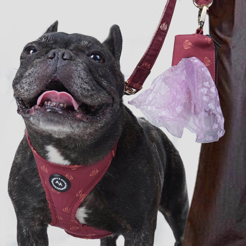 Dog wearing a Avatar Fire Nation patterned harness with a leash and a pooh bag on a white background