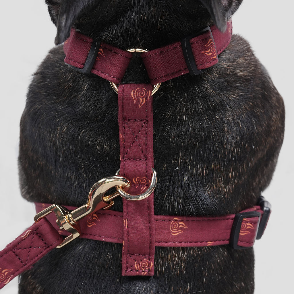 100% Cotton Adjustable No Pull Dog Harness Avatar Fire Nation dog wears the harness back