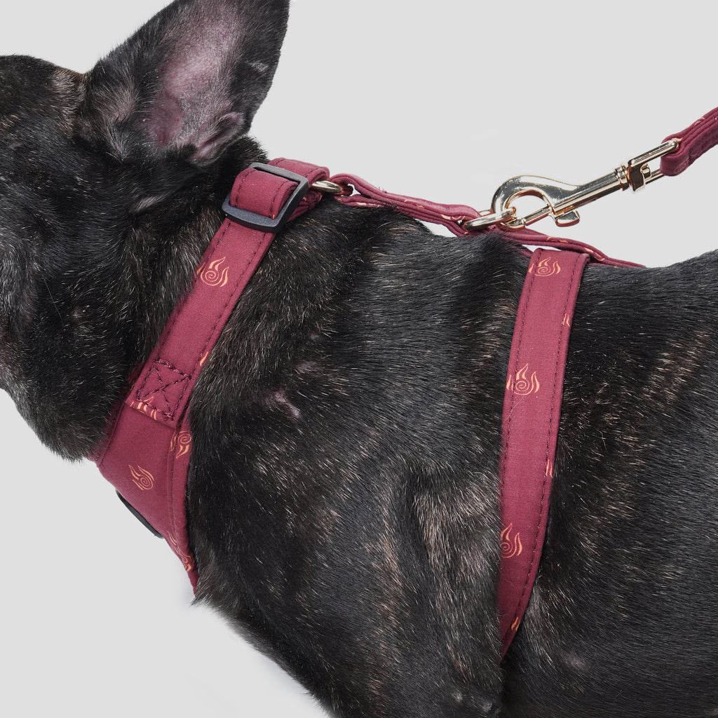 100% Cotton Adjustable No Pull Dog Harness Avatar Fire Nation dog wears the harness side