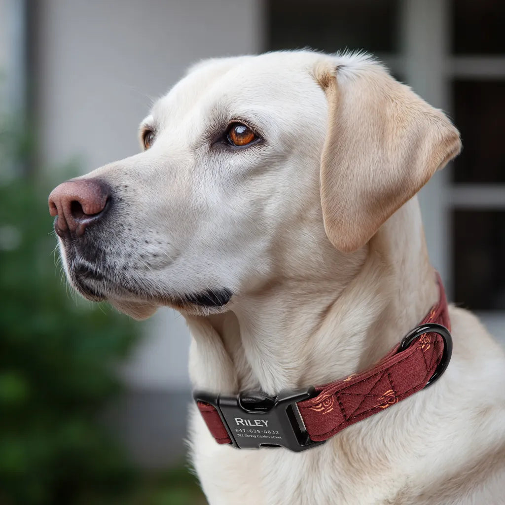 Dog wears 100% Cotton Personalized Dog Collar Engraved Black Avatar Fire Nation