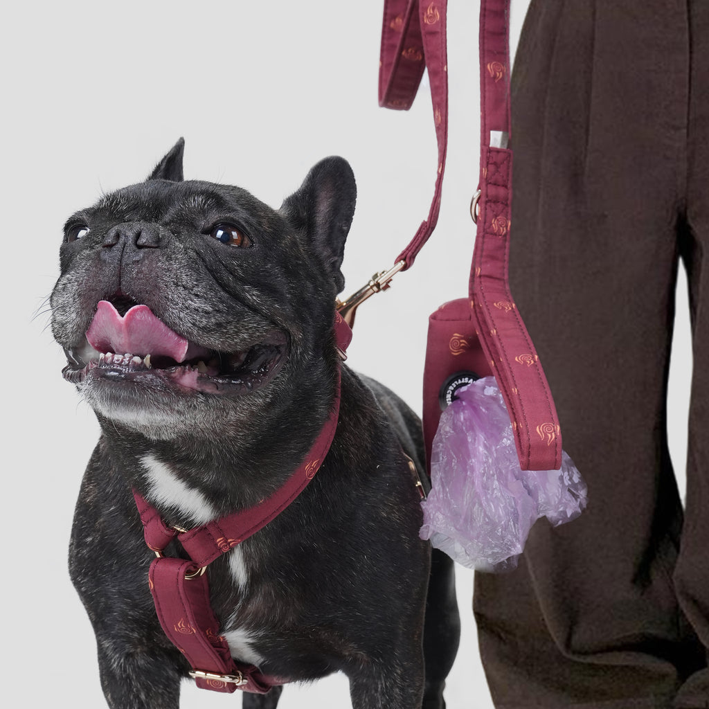 Dog wearing a Avatar Fire Nation patterned harness and leash with a person holding the leash on a light gray background