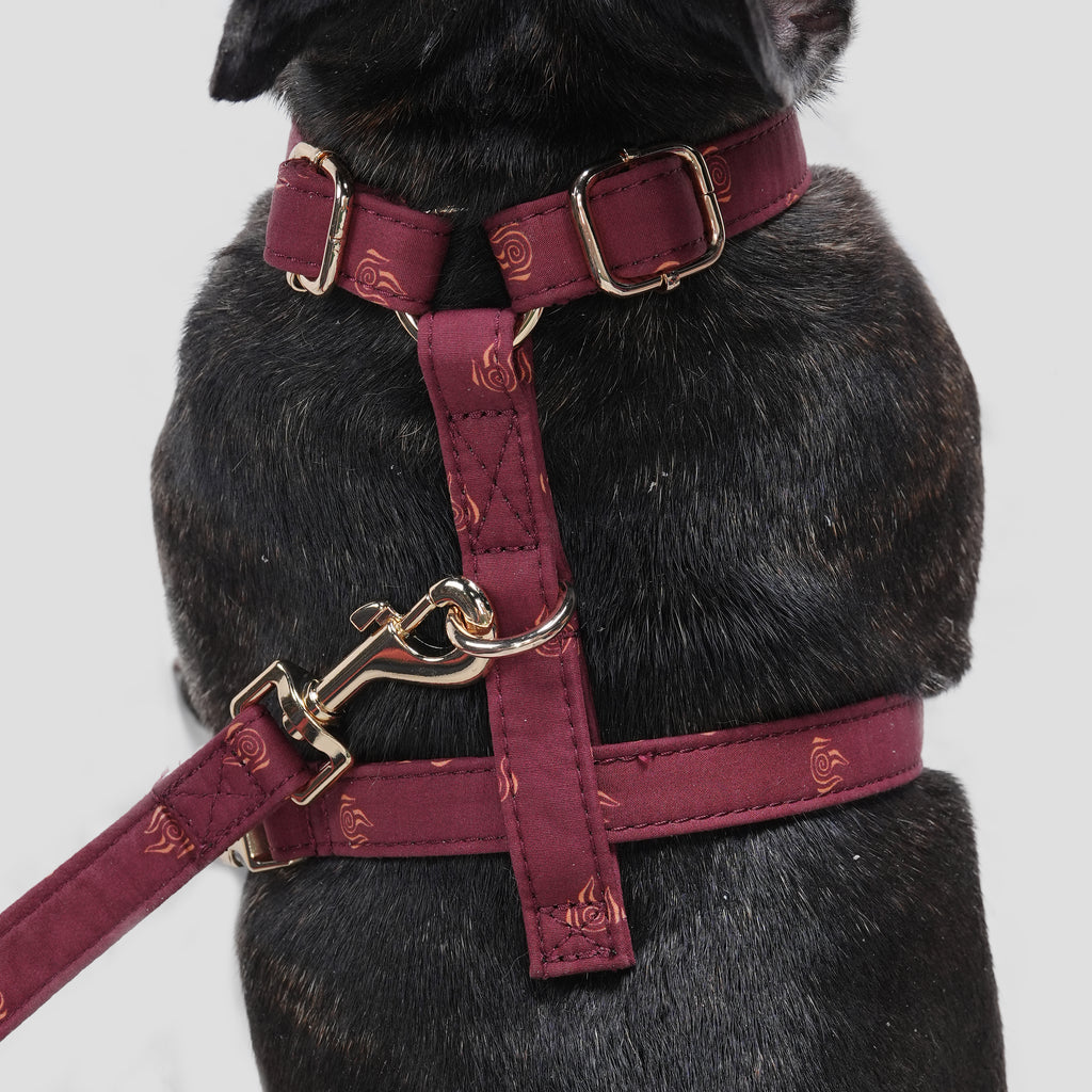 100% Cotton Adjustable No Pull Dog Harness Avatar Fire Nation dog wears the harness back
