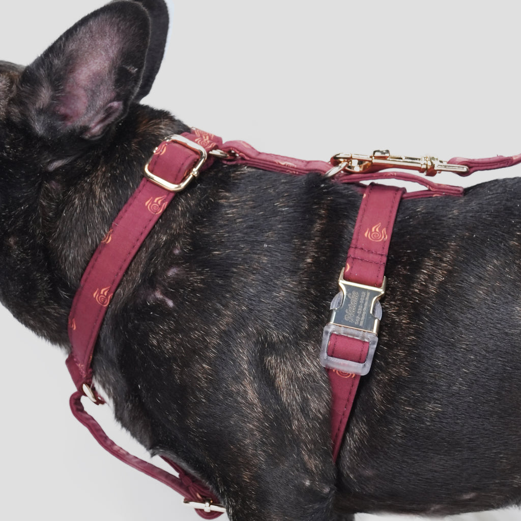 100% Cotton Adjustable No Pull Dog Harness Avatar Fire Nation dog wears the harness side