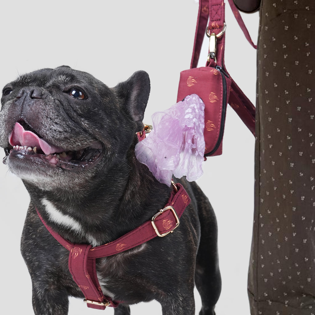 Dog wearing a Avatar Fire Nation patterned step-In dog harness with a leash and a pooh bag on a white background