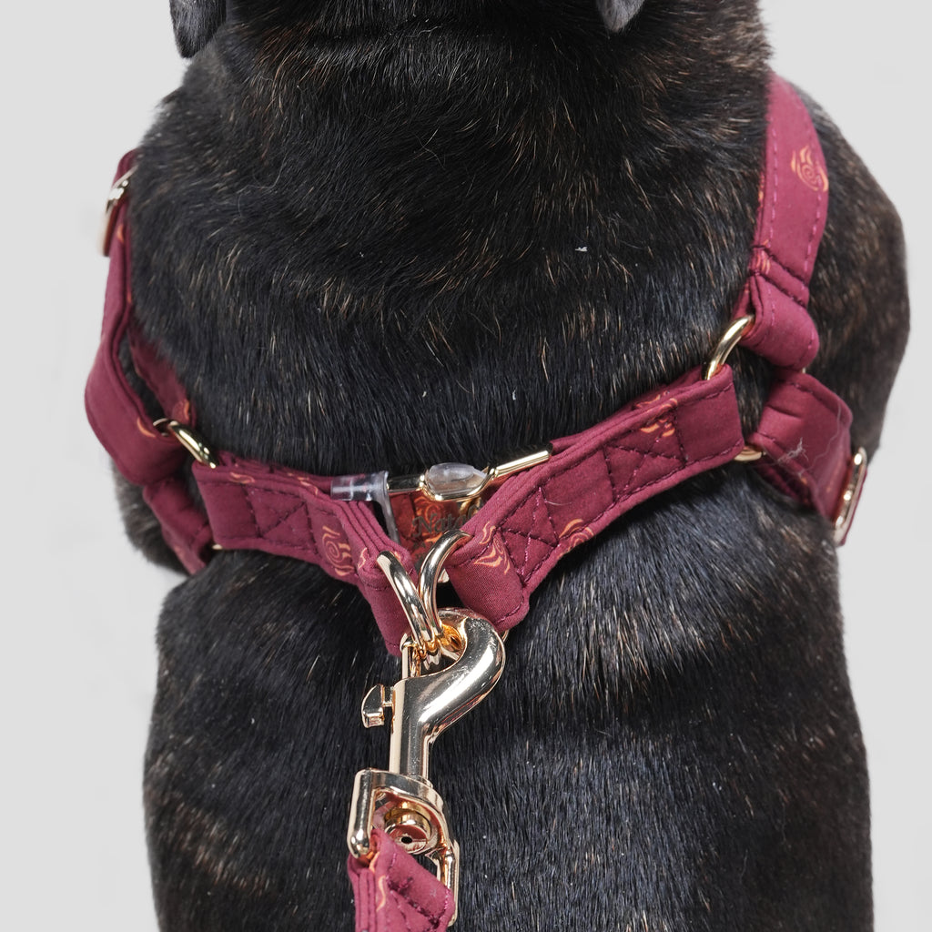 100% Cotton Adjustable Step-In Dog Harness Gold Avatar Fire Nation dog wears the harness back