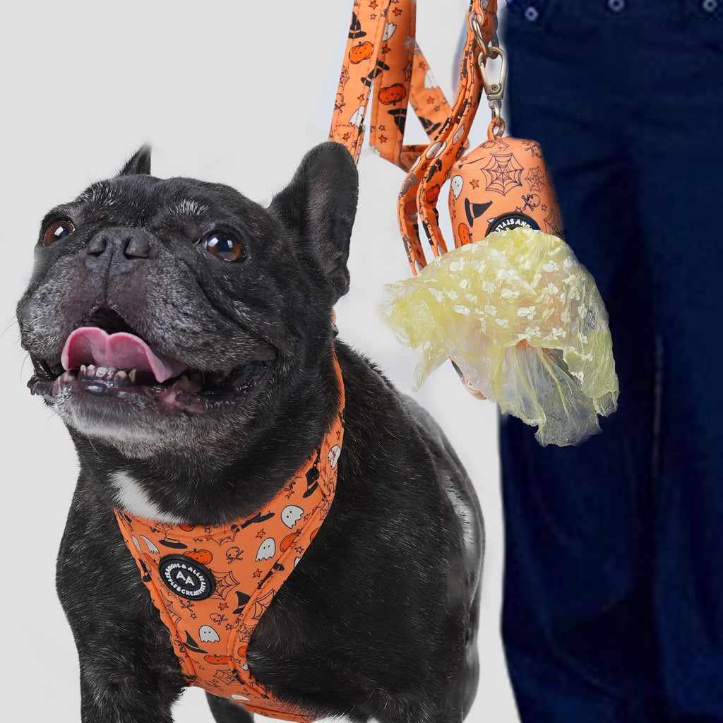 Black dog wearing a Magic Halloween-themed harness with a poop bag attached, on a light gray background