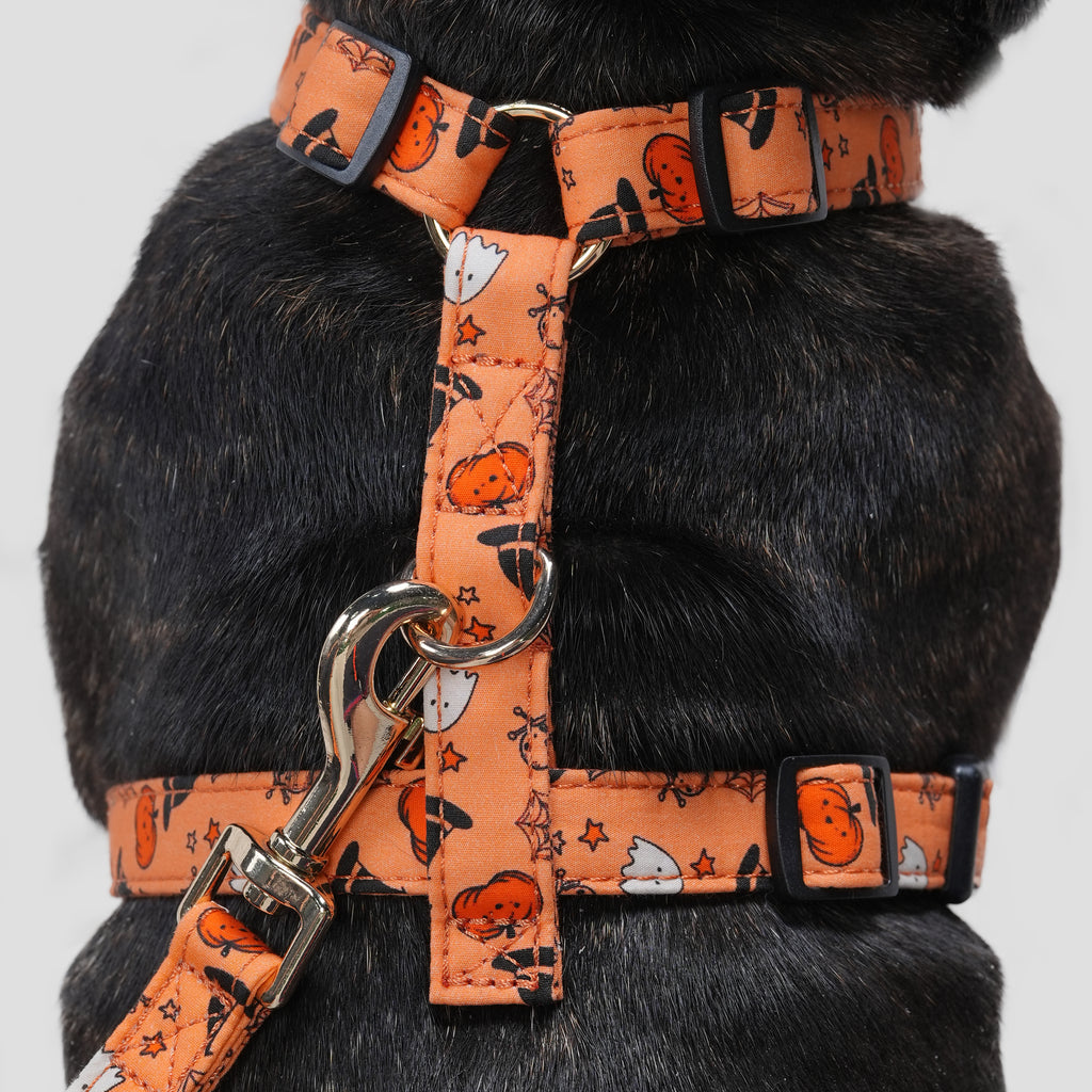 100% Cotton Adjustable No Pull Dog Harness Magic Halloween dog wears the harness back
