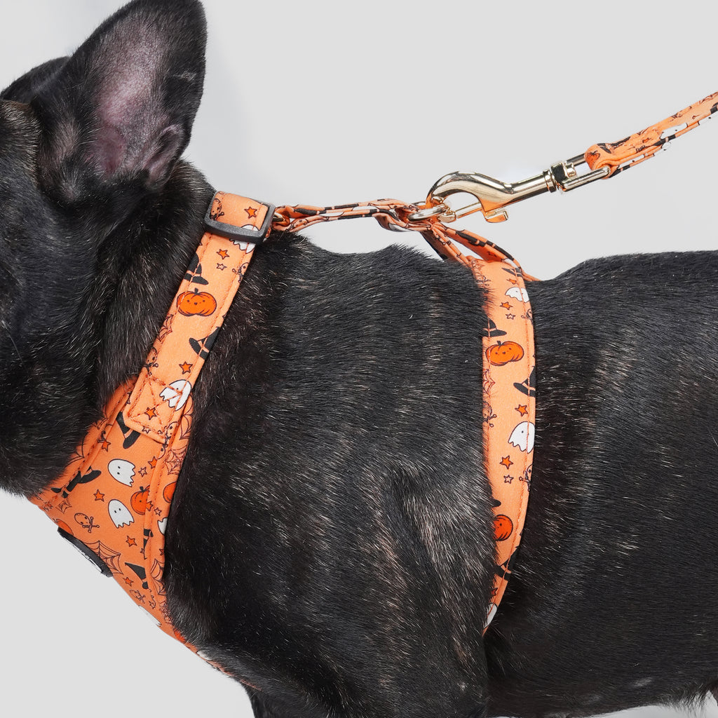 100% Cotton Adjustable No Pull Dog Harness Magic Halloween dog wears the harness side
