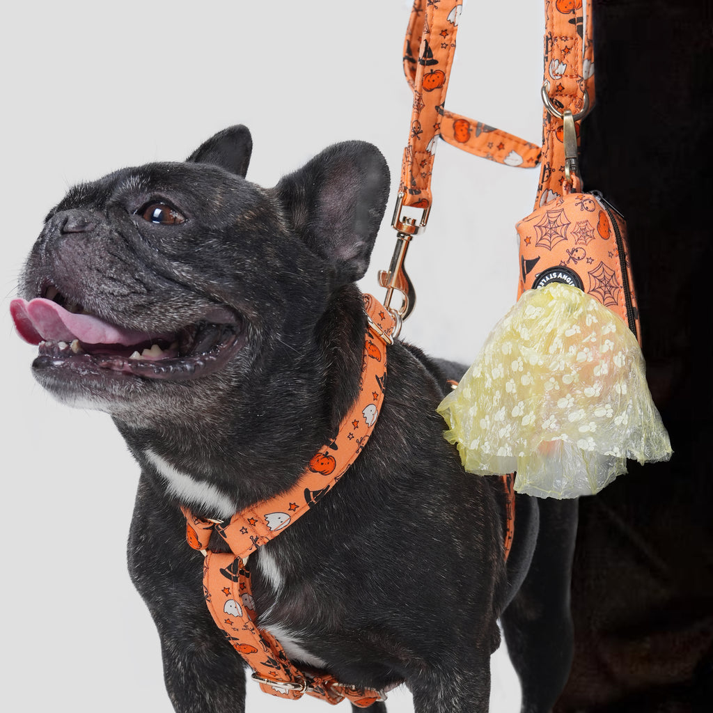 Black dog wearing a Magic Halloween-themed harness with a poop bag attached, on a light gray background