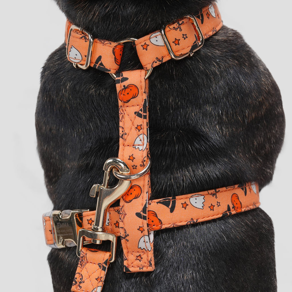 100% Cotton Adjustable No Pull Dog Harness Magic Halloween dog wears the harness back