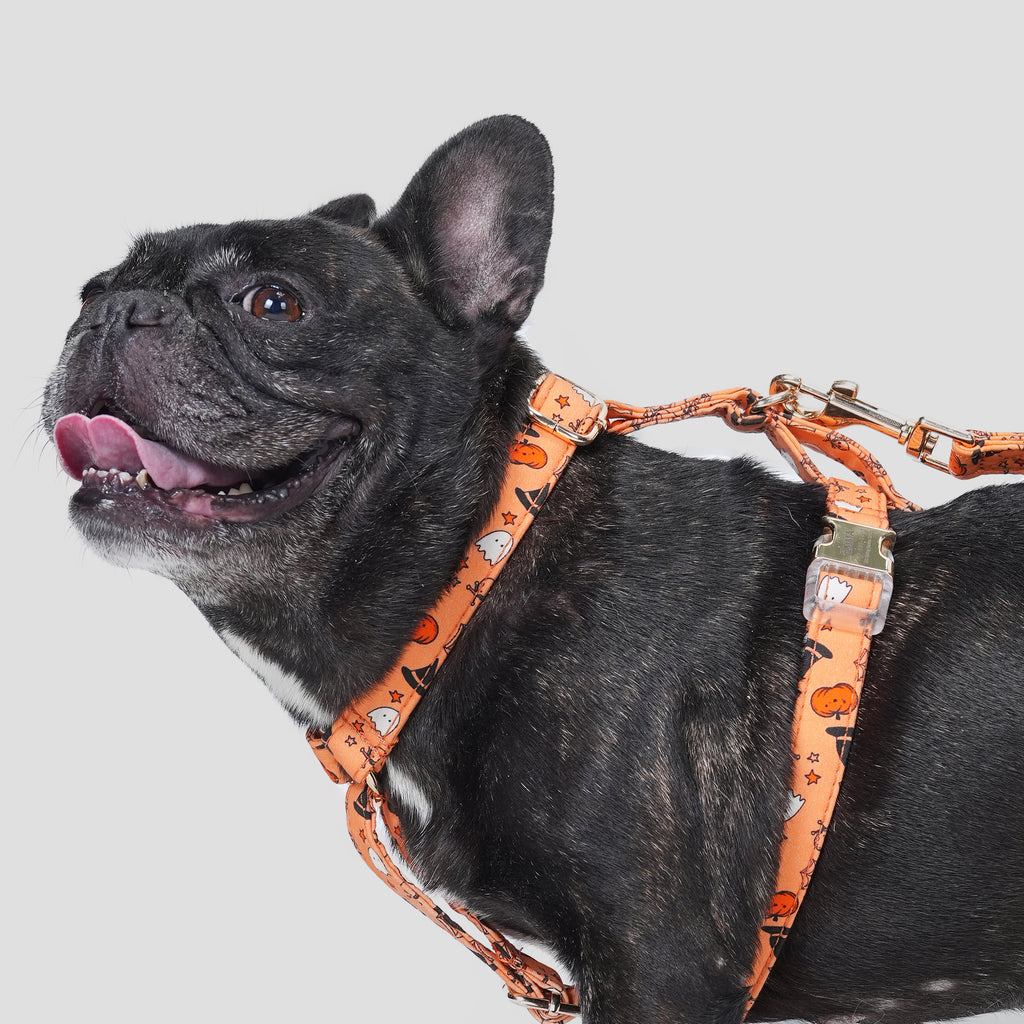 100% Cotton Adjustable No Pull Dog Harness Magic Halloween dog wears the harness side