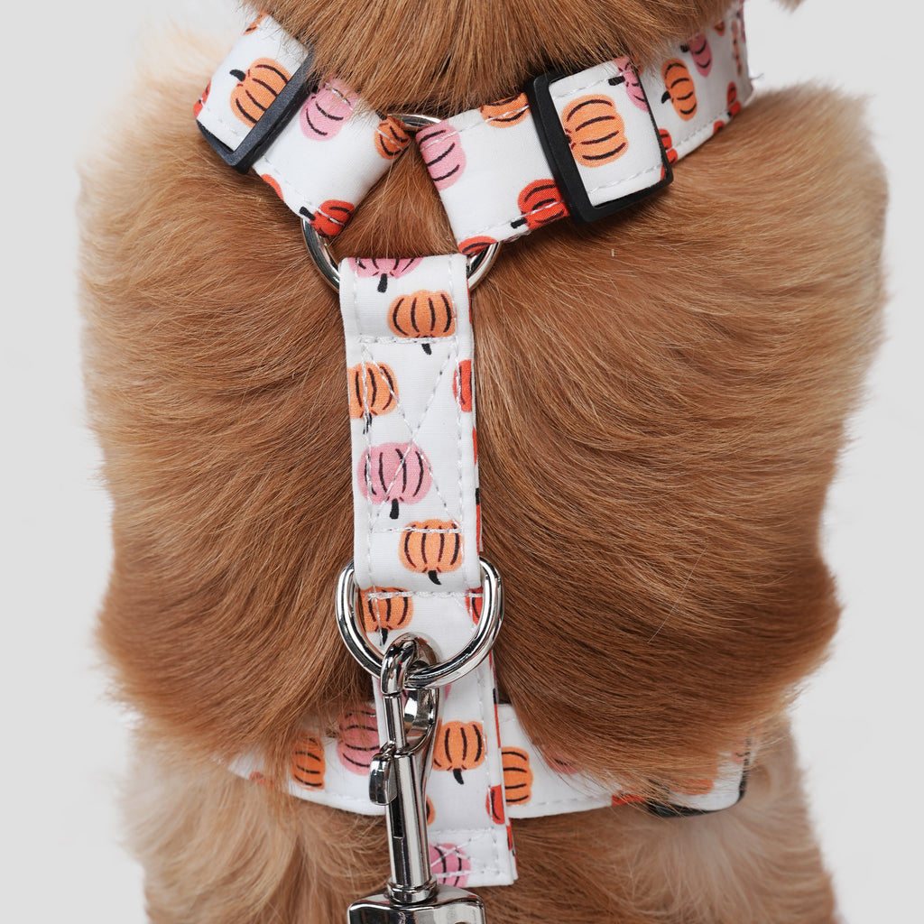 100% Cotton Adjustable No Pull Dog Harness Silver Love Halloween dog wears the harness back