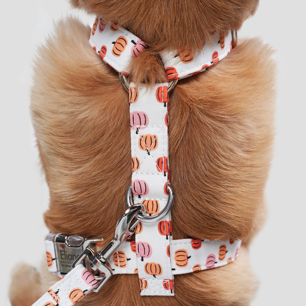 100% Cotton Adjustable No Pull Dog Harness Love Halloween dog wears the harness back