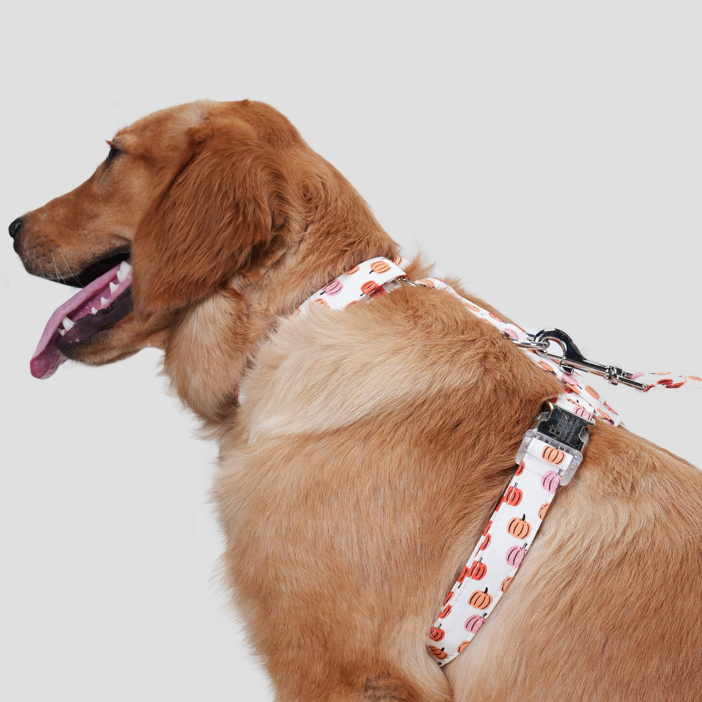 100% Cotton Adjustable No Pull Dog Harness Love Halloween dog wears the harness side