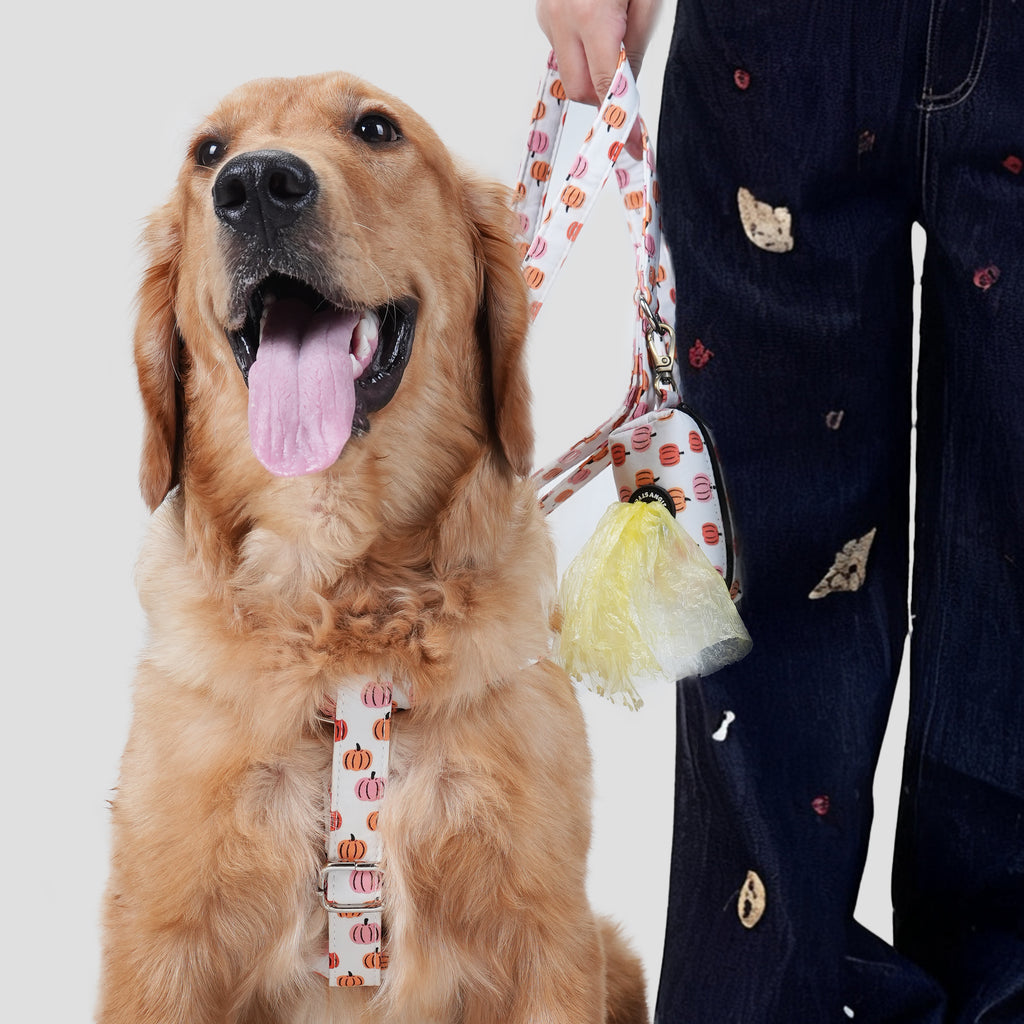 Dog wears the Love Halloween patterned step in dog harness with a leash near a person against a plain background