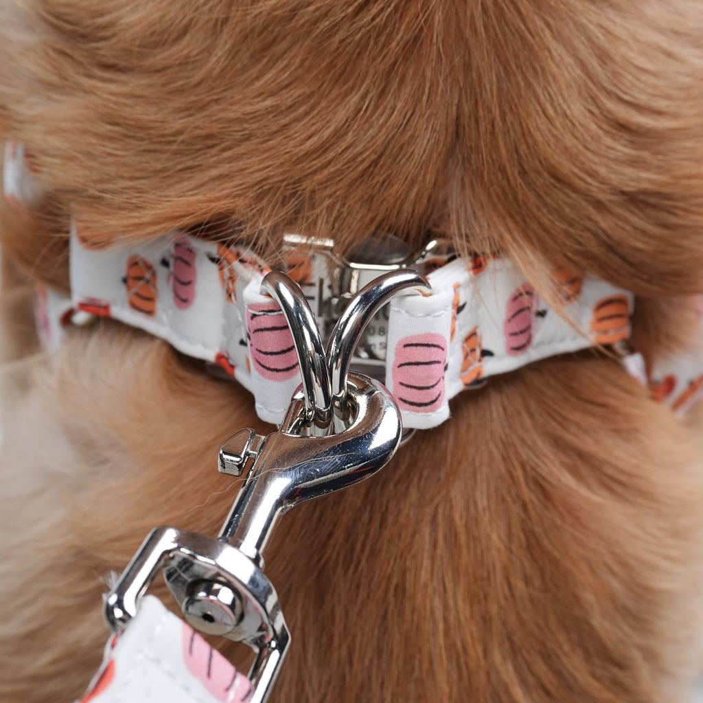 100% Cotton Adjustable Step-In Dog Harness Love Halloween dog wears the harness back