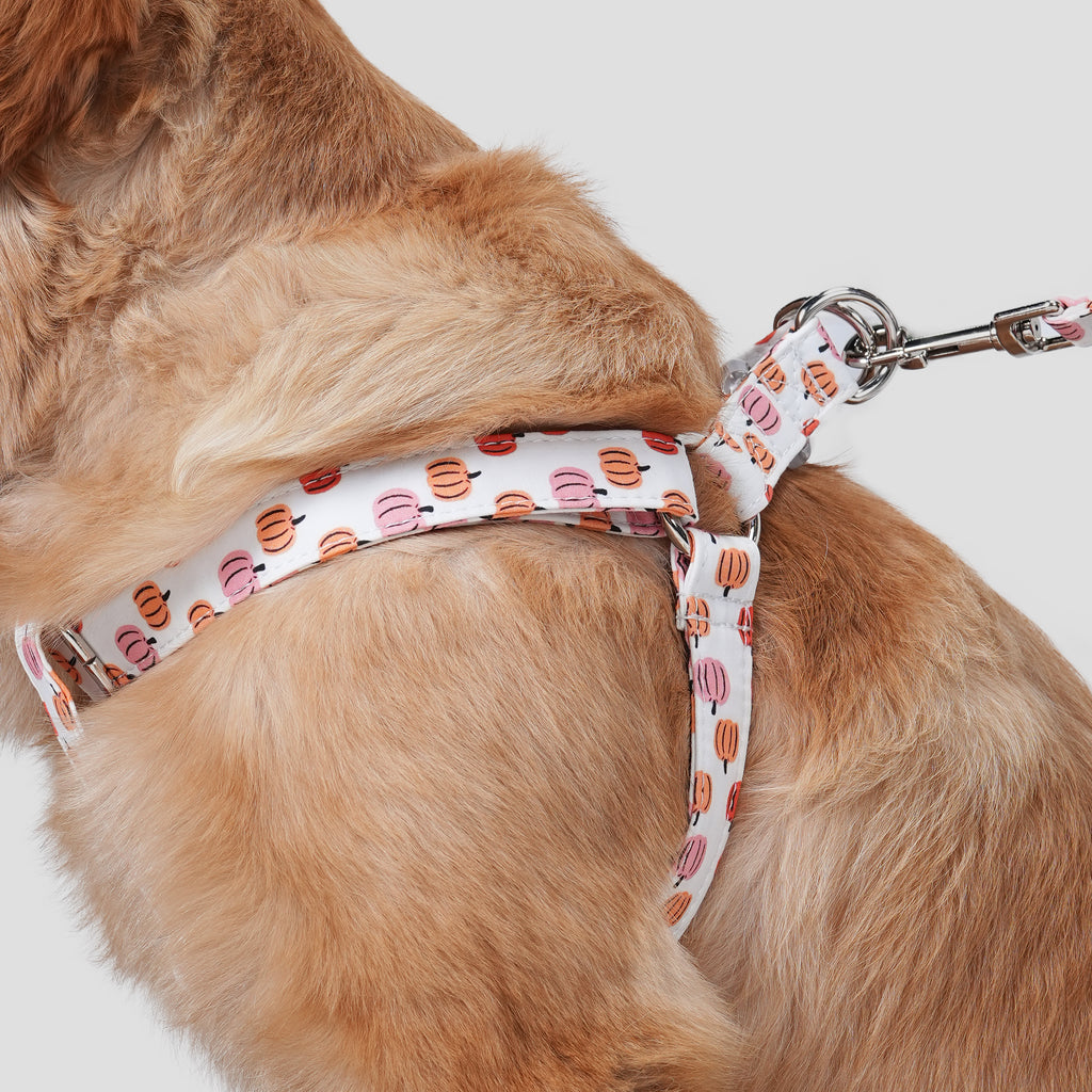 100% Cotton Adjustable Step-In Dog Harness Love Halloween dog wears the harness side