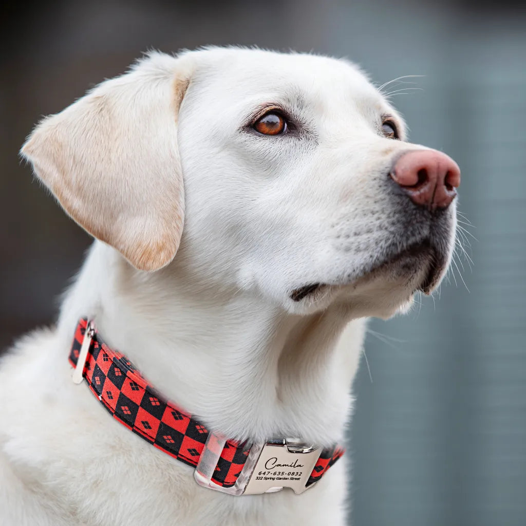 Dog wears 100% Cotton Personalized Dog Collar Engraved Silver Harley Quinn