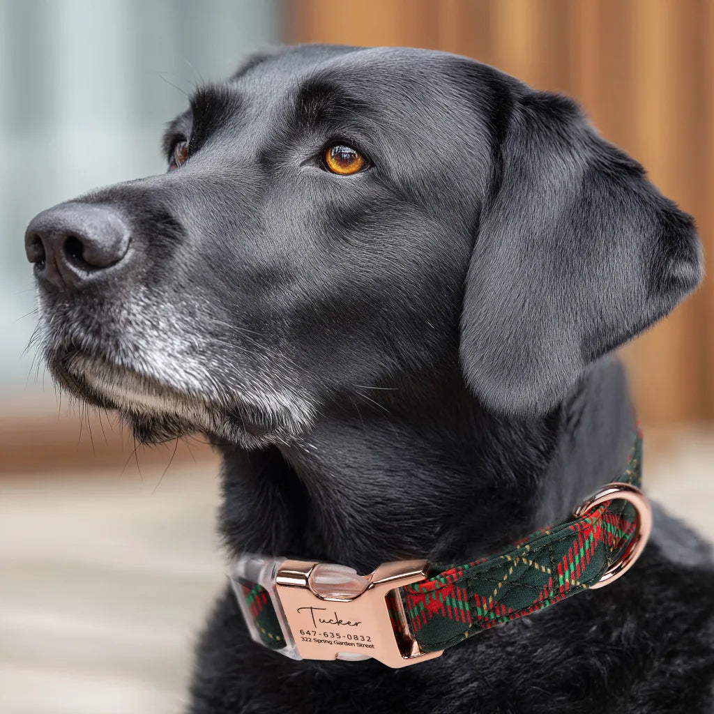 Dpg wears 100% Cotton Personalized Dog Collar Plaid rosegold