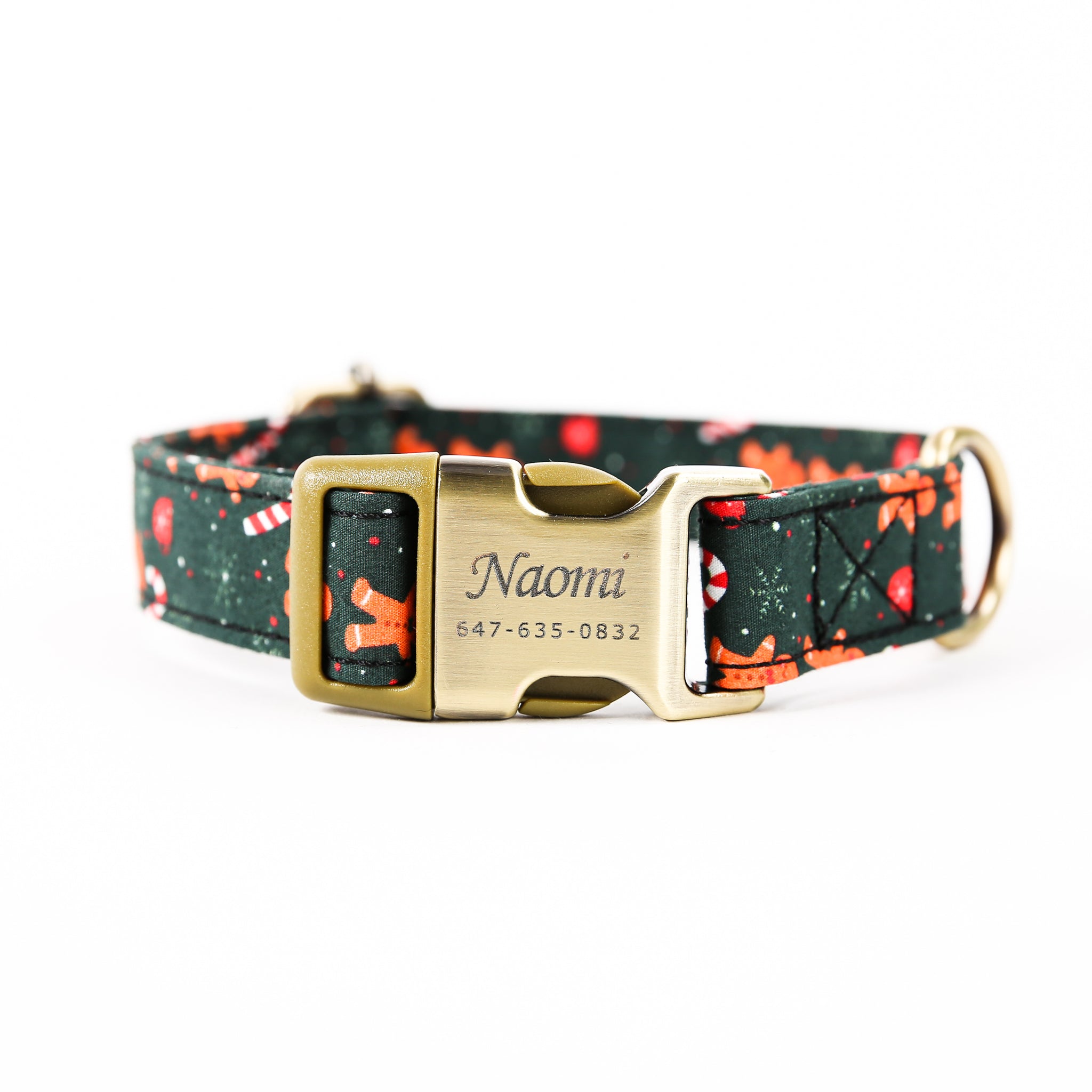 Engraved fashion buckle dog collar