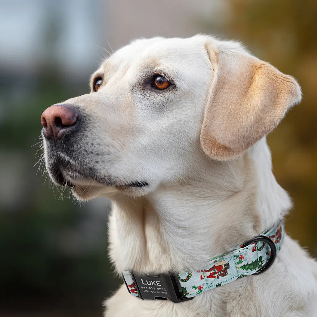 Dog wears 100% Cotton Personalized Dog Collar Engraved Black Santa Claus