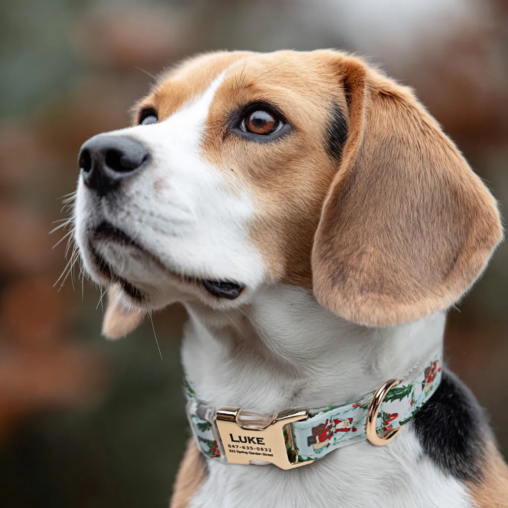 Dog wears 100% Cotton Personalized Dog Collar Engraved Gold Santa Claus