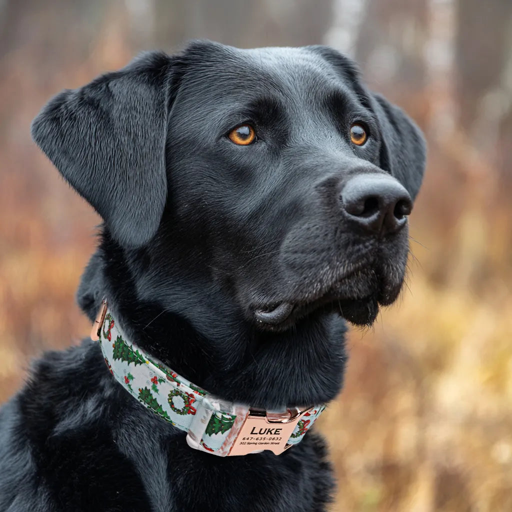 Dog wears 100% Cotton Personalized Dog Collar Engraved Rose Gold Santa Claus