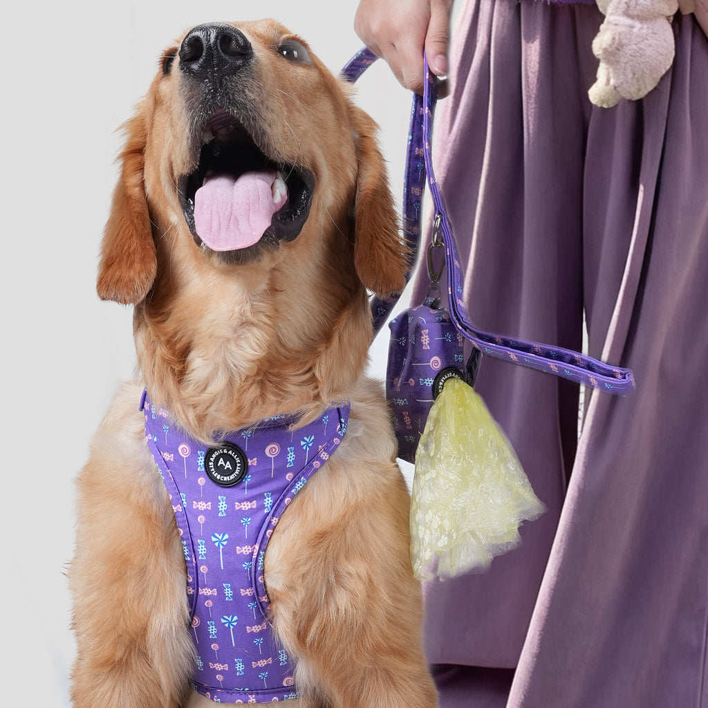 Dog wearing a purple lollipop harness with a leash and a poop bag, standing next to a person in a purple dress