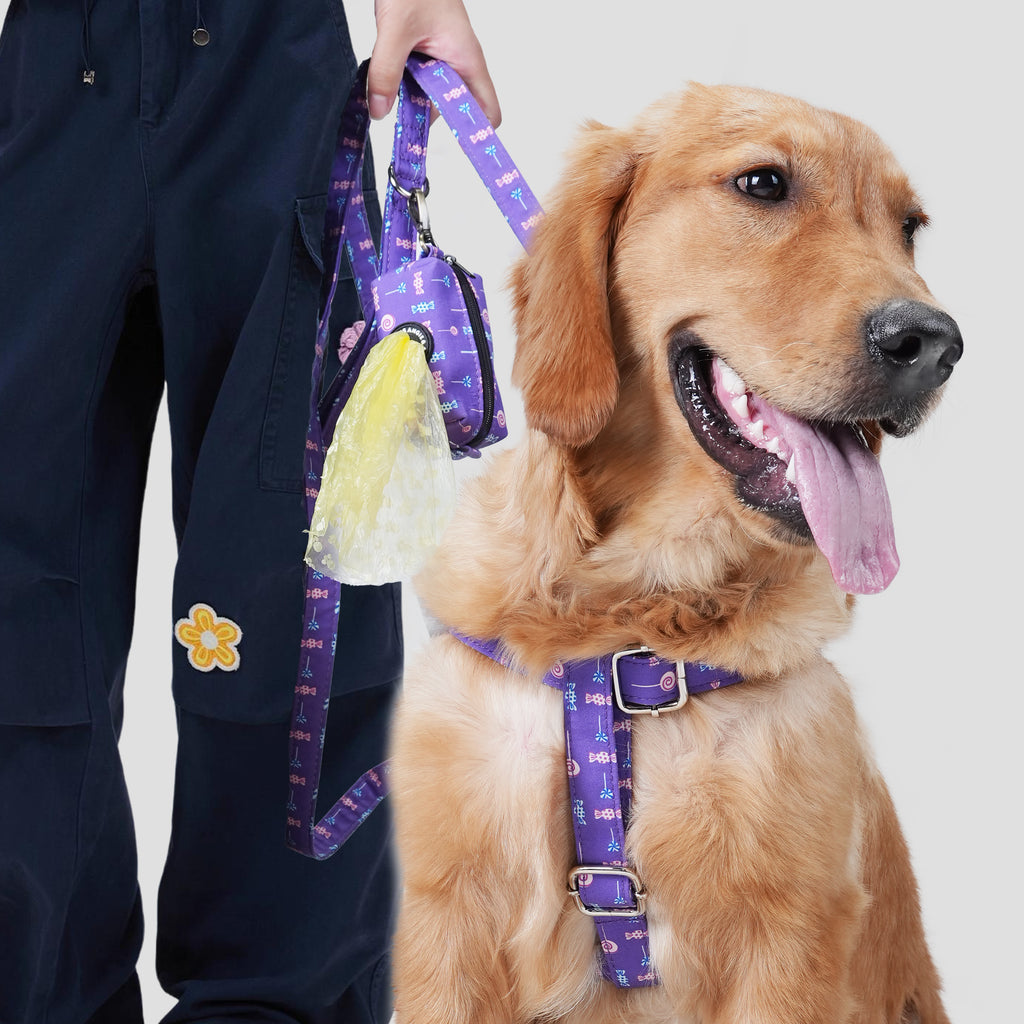 Dog wearing a purple lollipop harness with a leash and a poop bag, next to a person holding a leash, on a plain background
