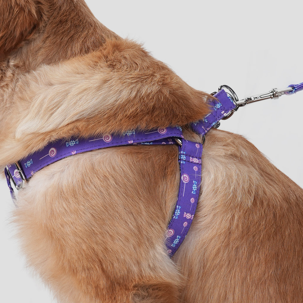 100% Cotton Adjustable Step-In Dog Harness Silver Lollipop dog wears the harness side