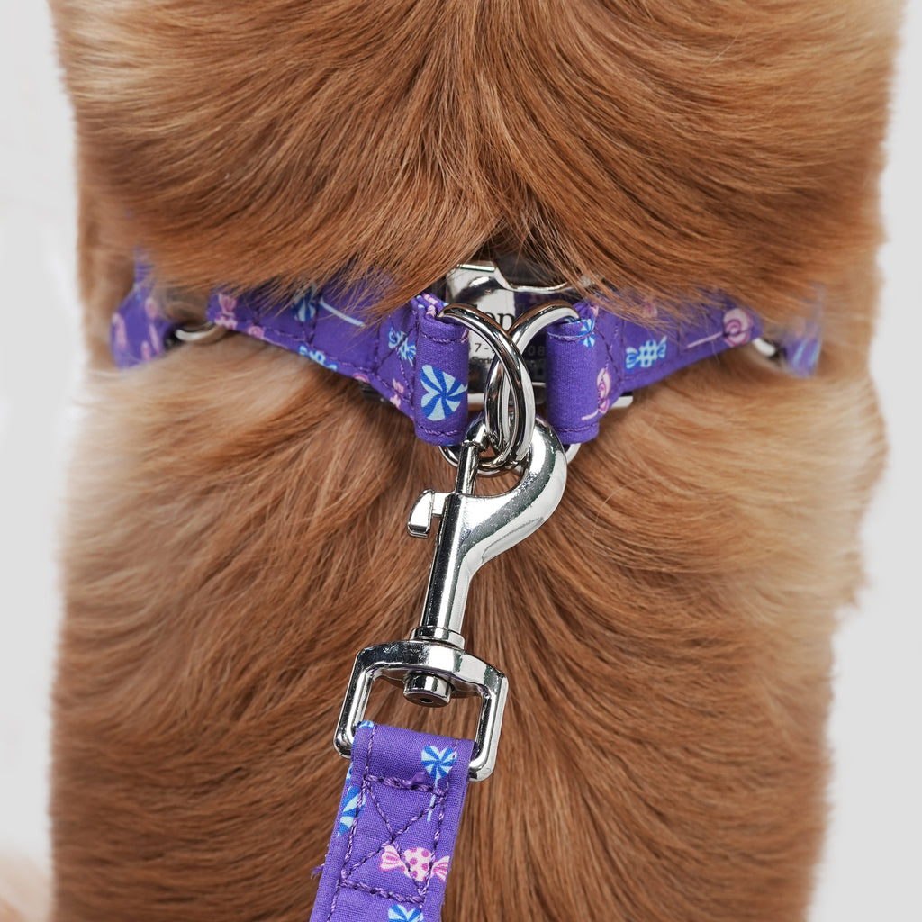 100% Cotton Adjustable Step-In Dog Harness Silver Lollipop dog wears the harness back