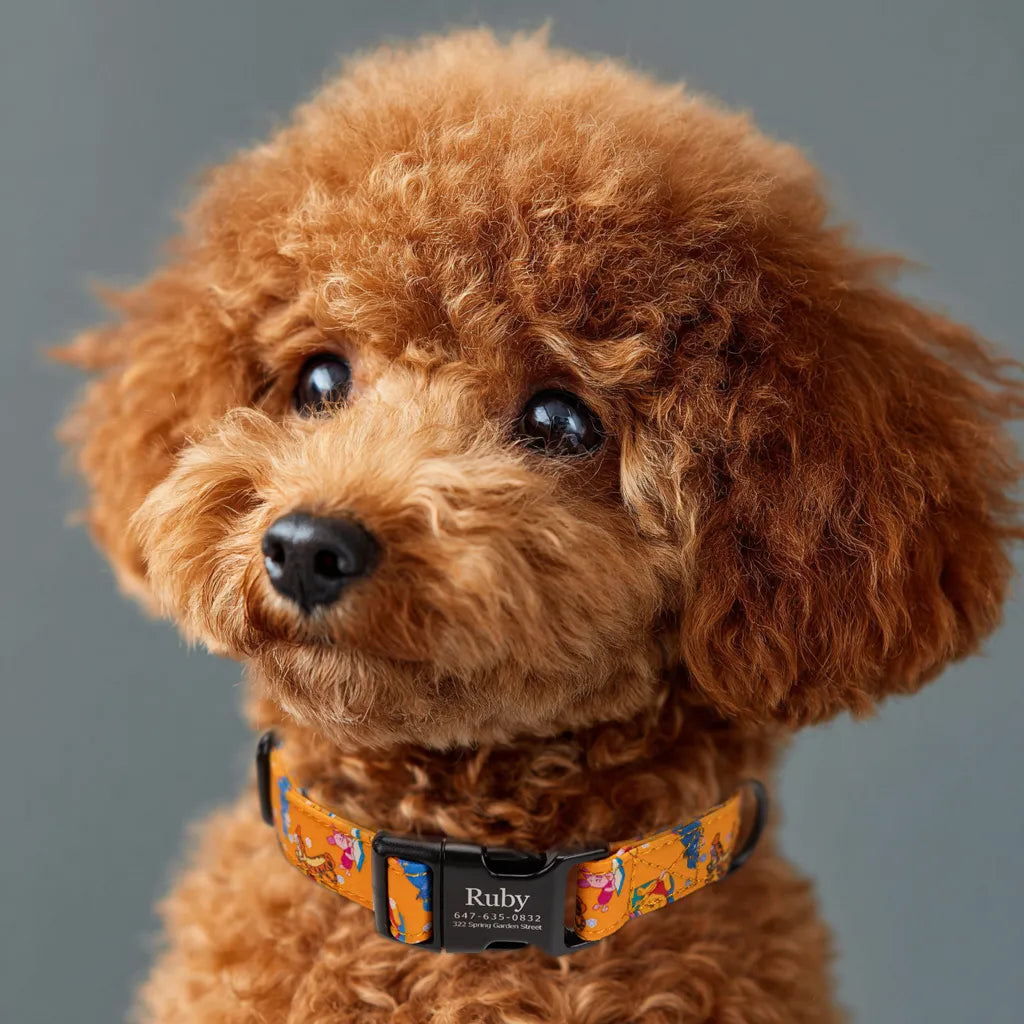 Dog wears Winnie the Pooh Dog Collar Personalized Collars  black