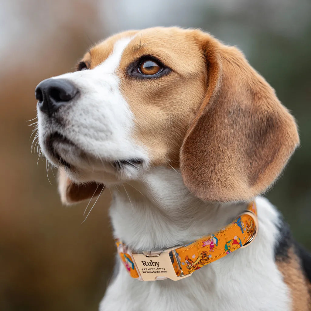 Dog wears Winnie the Pooh Dog Collar Personalized Collars Gold