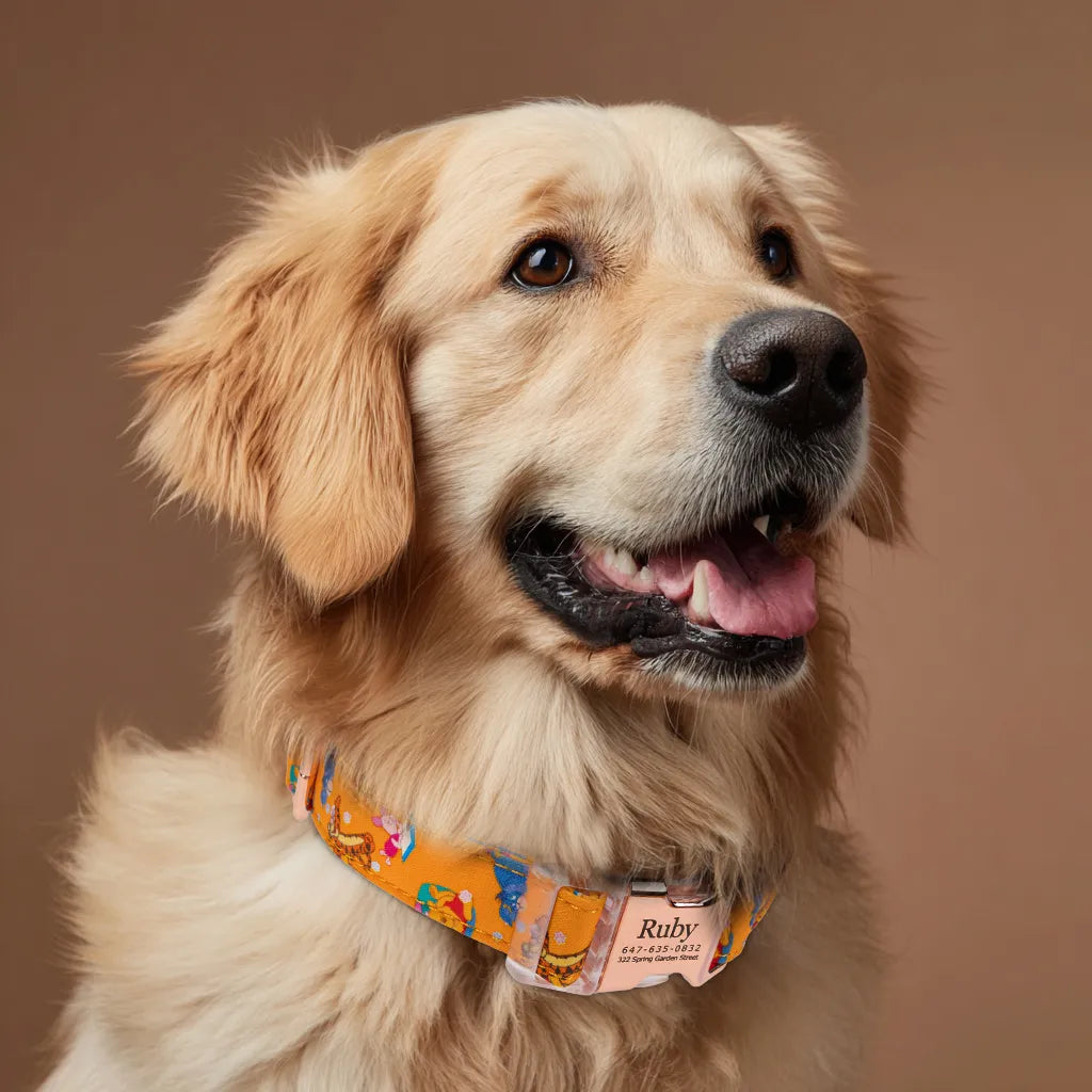 Dog wears Winnie the Pooh Dog Collar Personalized Collars Rose Gold
