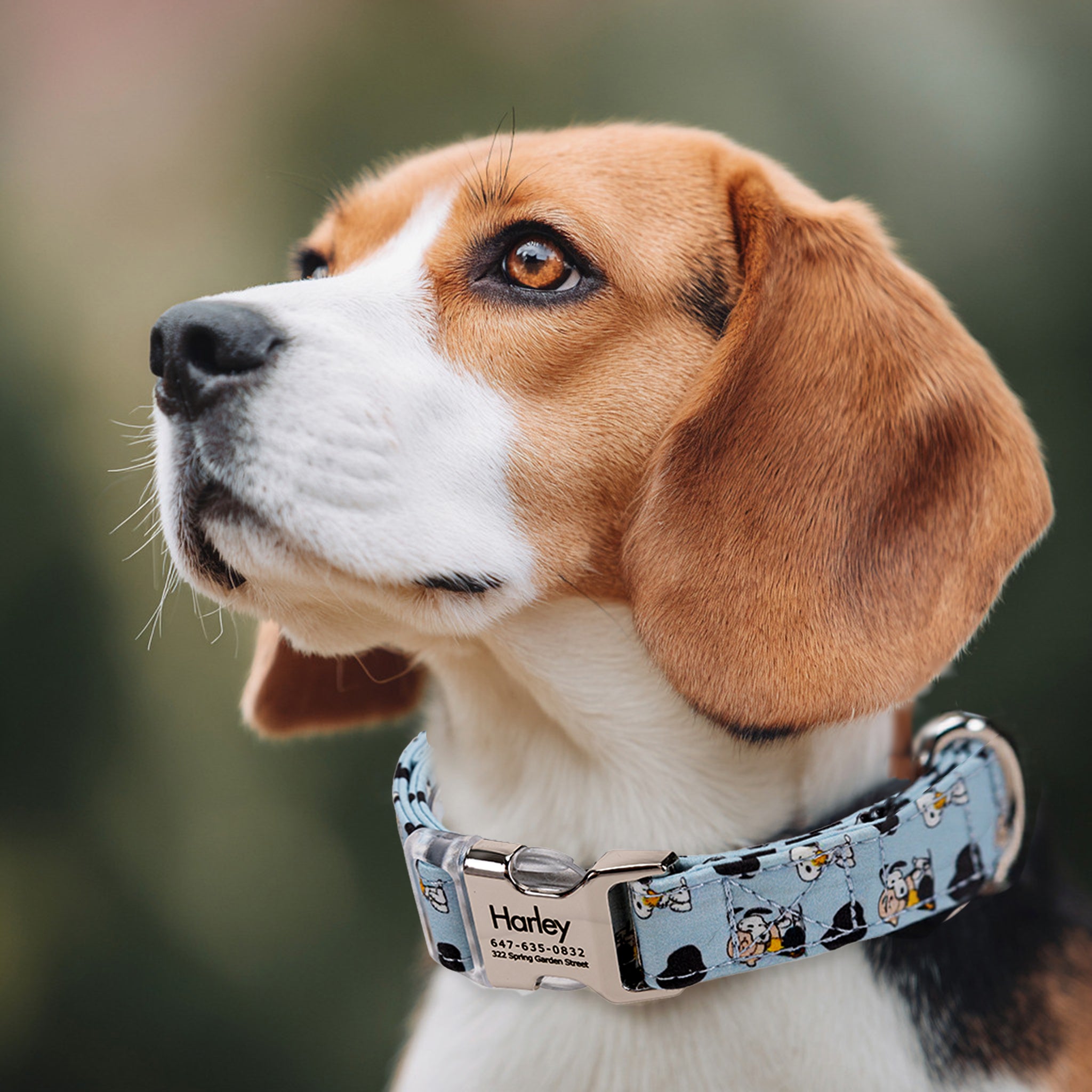 Snoopy Dog Collar: Personalized Brass by Angie Allie