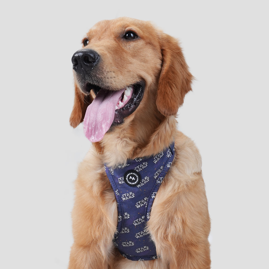100% Cotton Adjustable No Pull Dog Harness Silver Star Wars dog wears the harness front