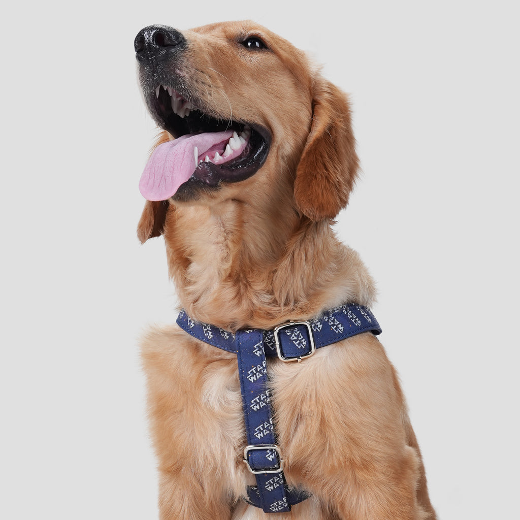100% Cotton Adjustable Step-In Dog Harness Silver Star Wars dog wears the harness front