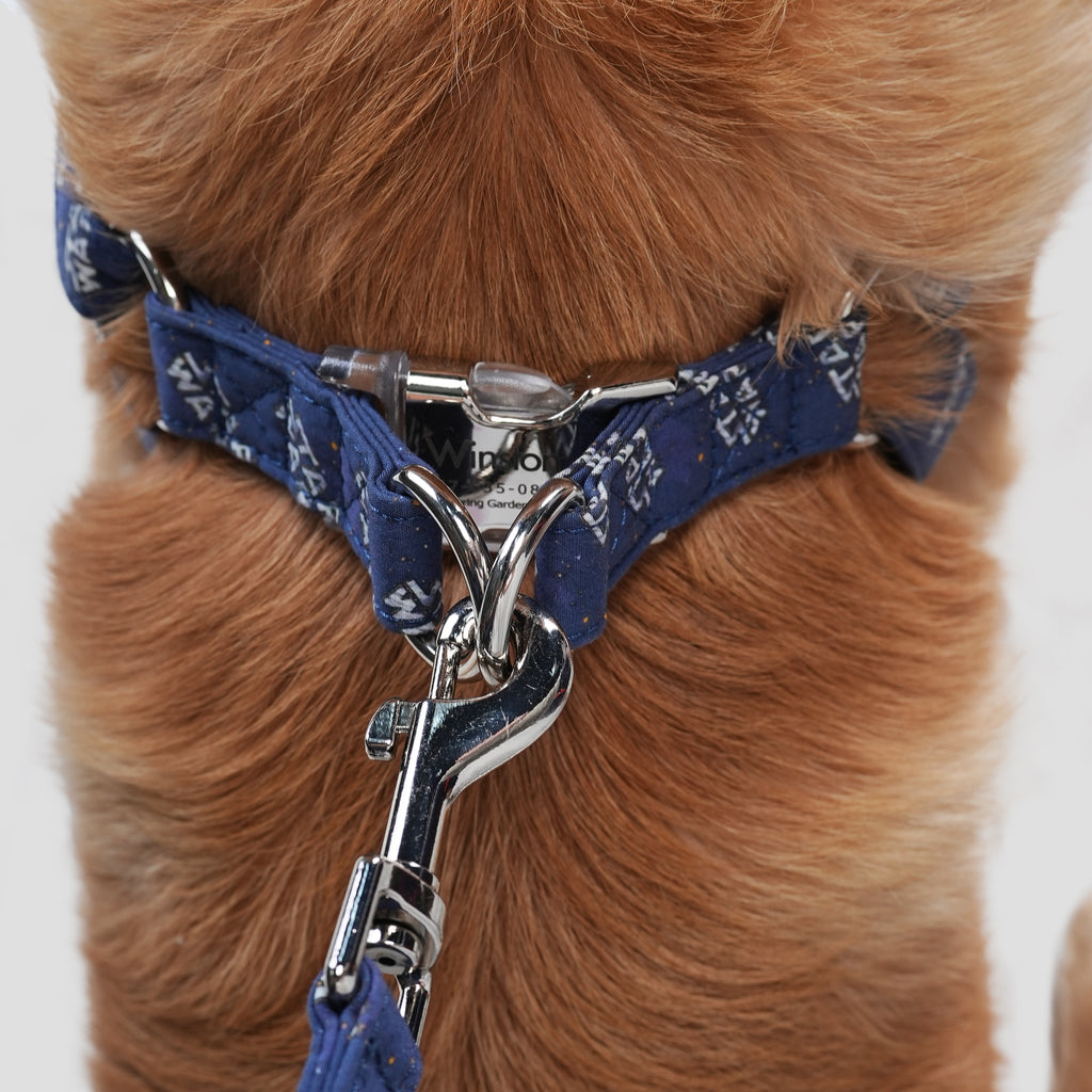 100% Cotton Adjustable Step-In Dog Harness Silver Star Wars dog wears the harness back