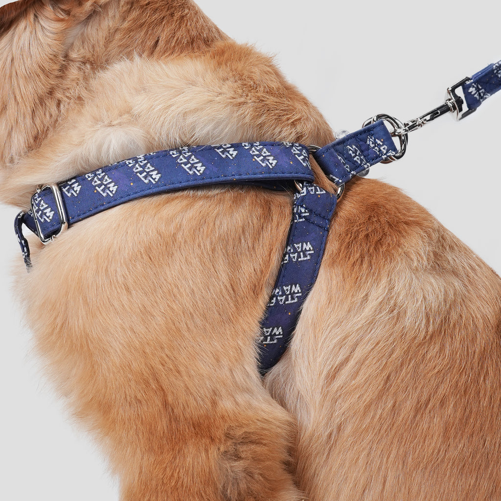 100% Cotton Adjustable Step-In Dog Harness Silver Star Wars dog wears the harness side