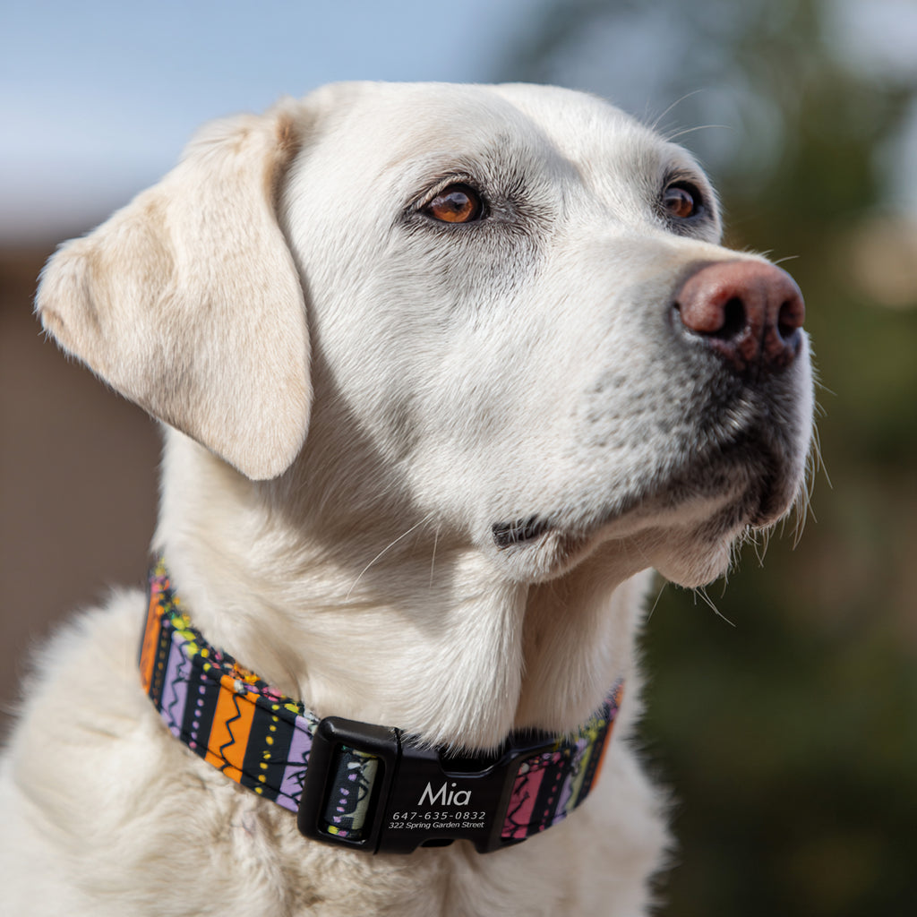 100% Cotton Personalized Dog Collar Engraved Brass The nightmare before Christmas dog wears a collar with black metal buckle